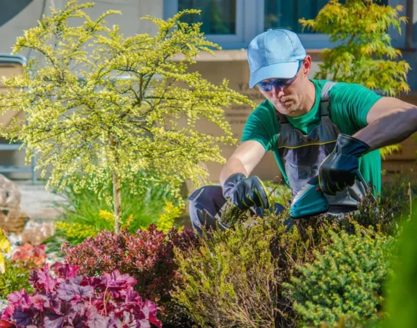 Landscape Design & Installation in Bucks County