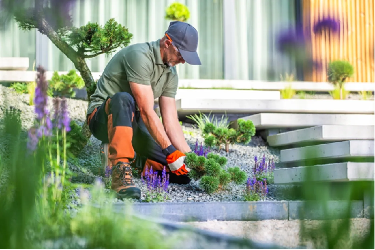 Front yard landscaping