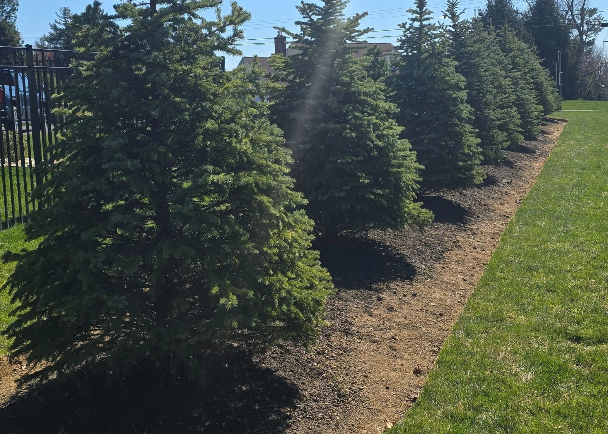 Landscape Design & Installation