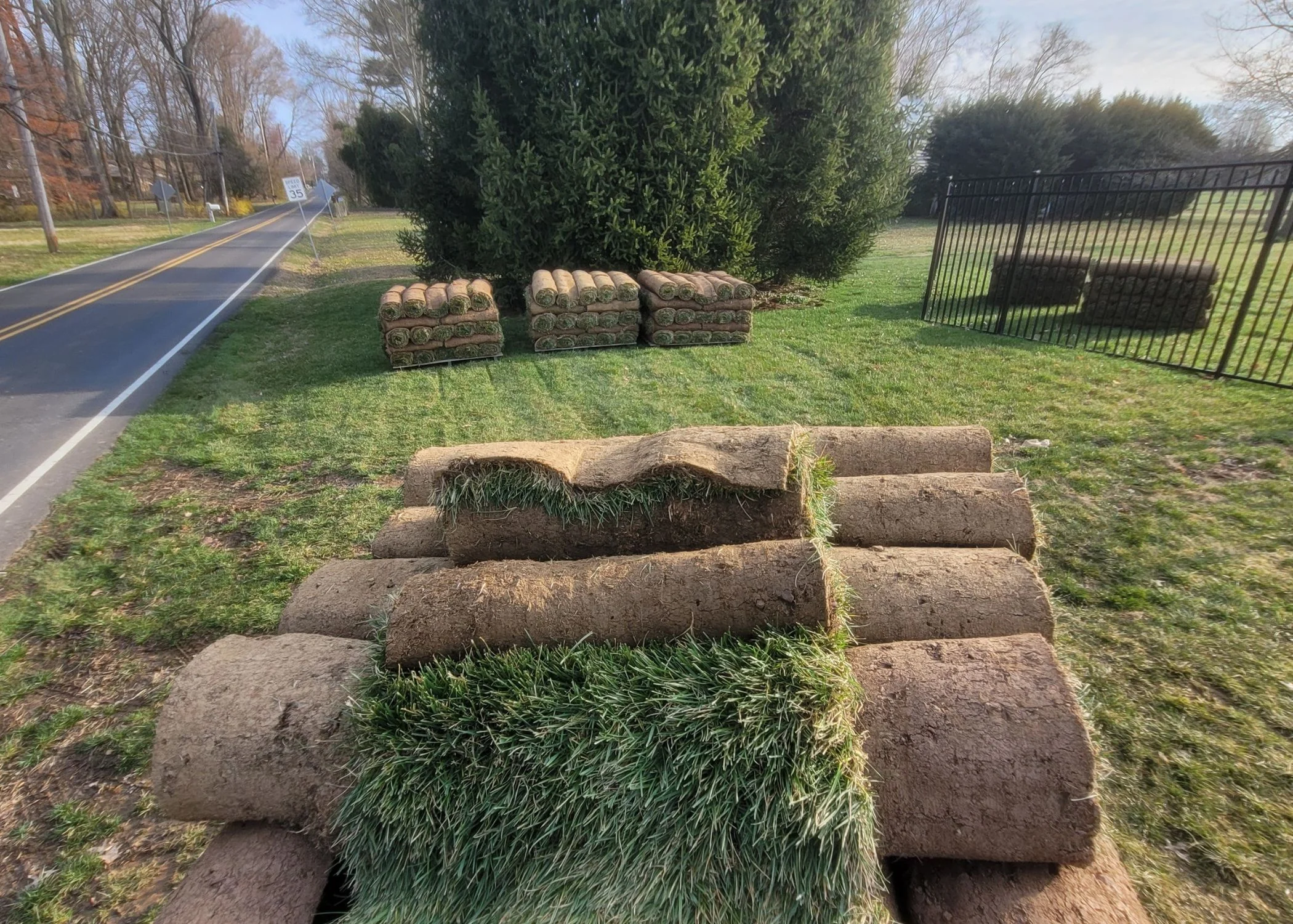 Landscape Design & Installation