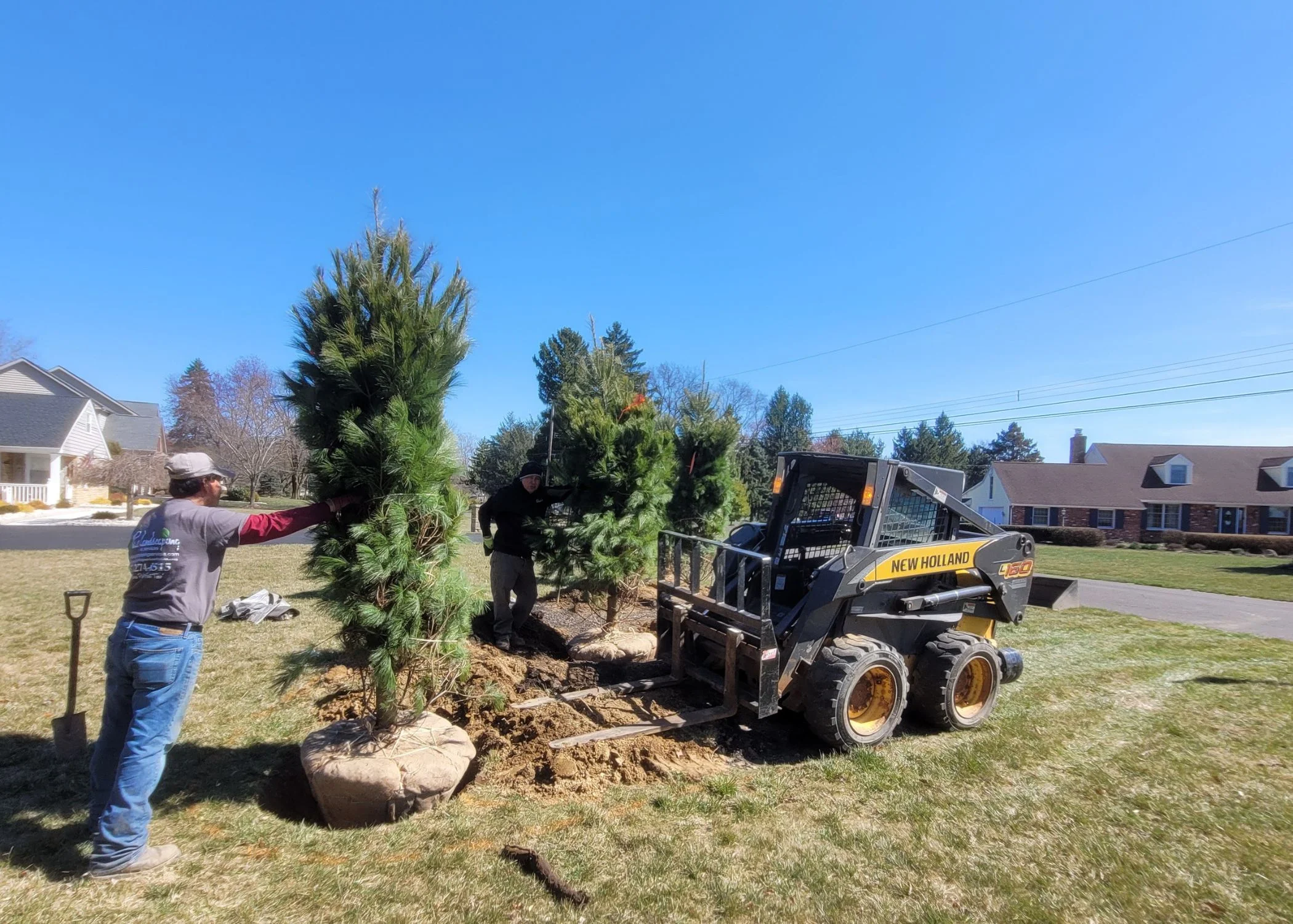 Landscape Design & Installation