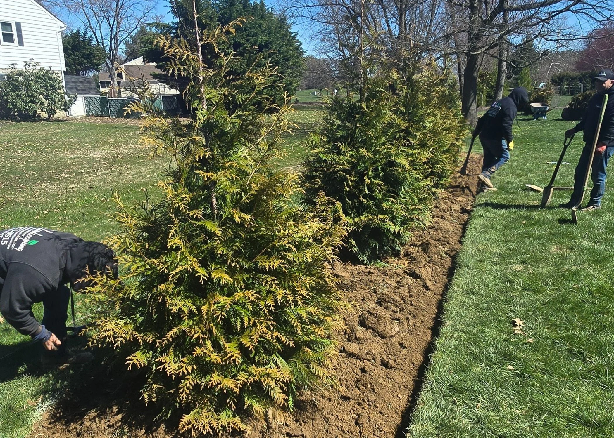 Landscape Design & Installation