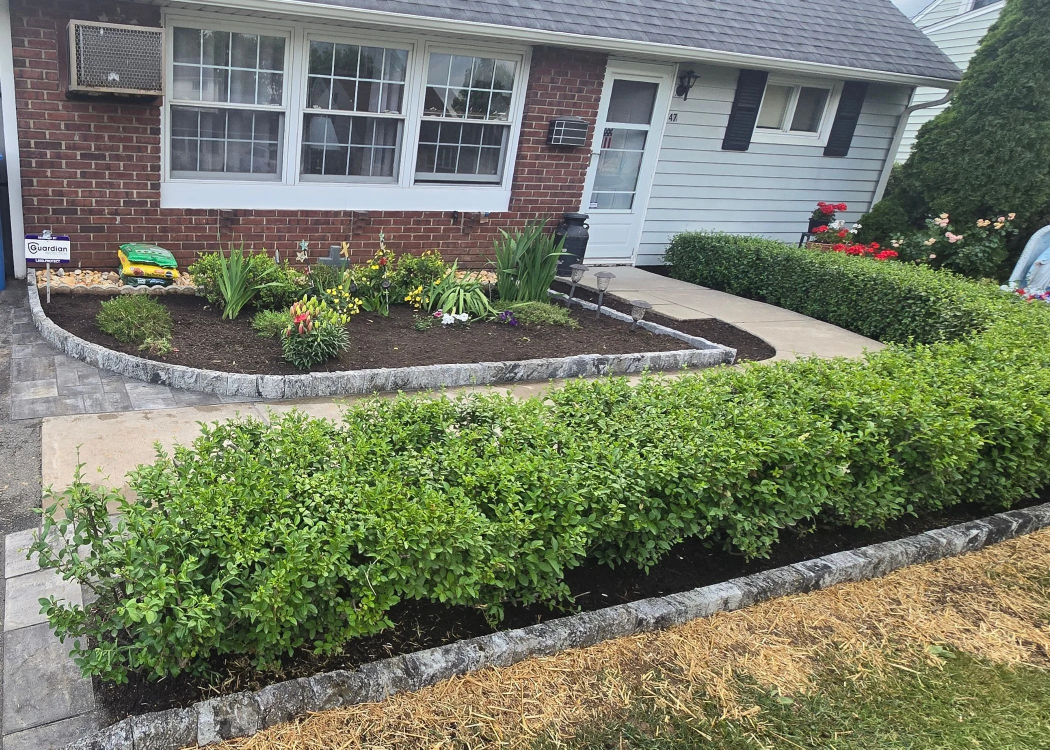 Front yard landscape maintenance