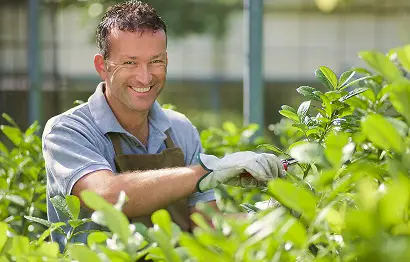 Professional Hardscape & Landscape Experts