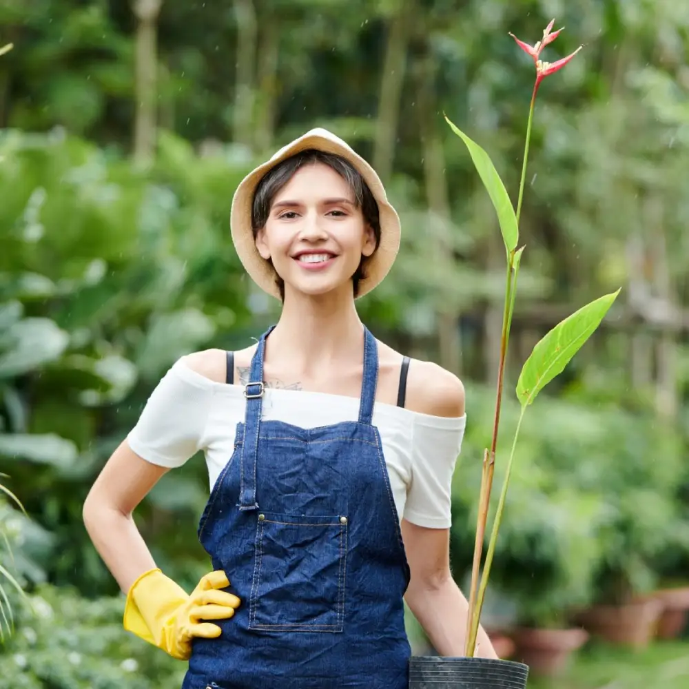 Professional Hardscape & Landscape Experts