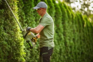 Professional Hardscape & Landscape Experts