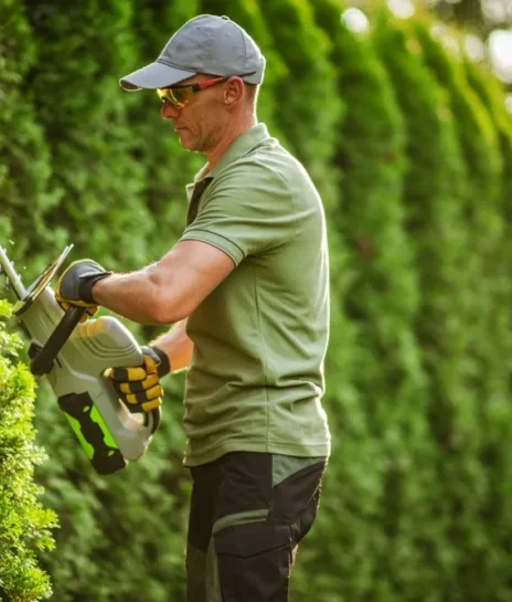 Professional Hardscape & Landscape Experts