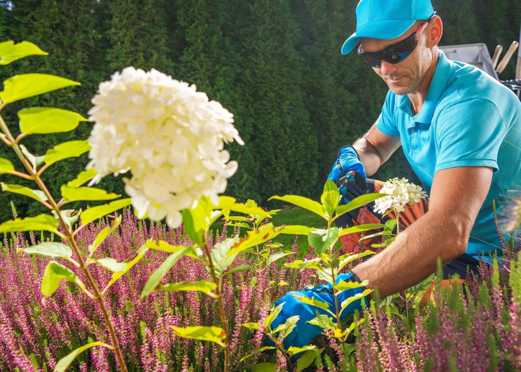 Garden maintenance by Paz Landscaping & Services