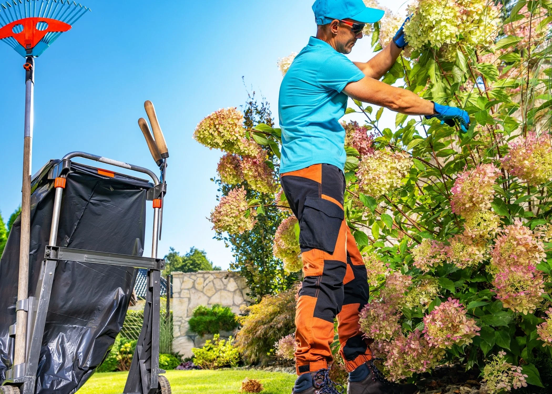 Shrub pruning by Paz Landscaping & Services