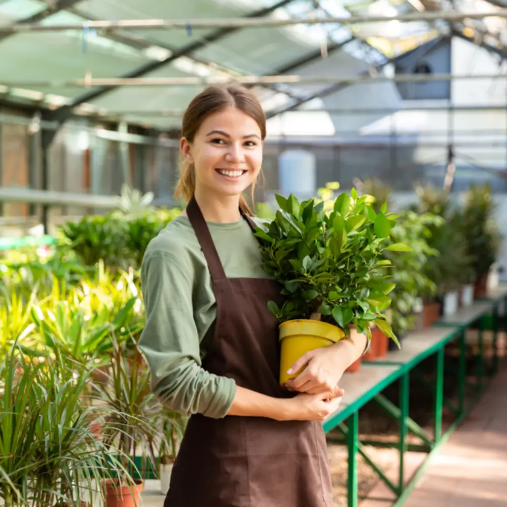 Professional Hardscape & Landscape Experts