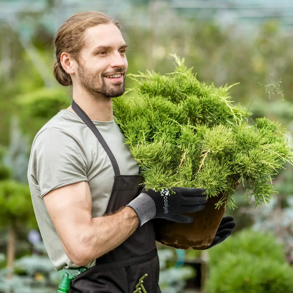 Professional Hardscape & Landscape Experts