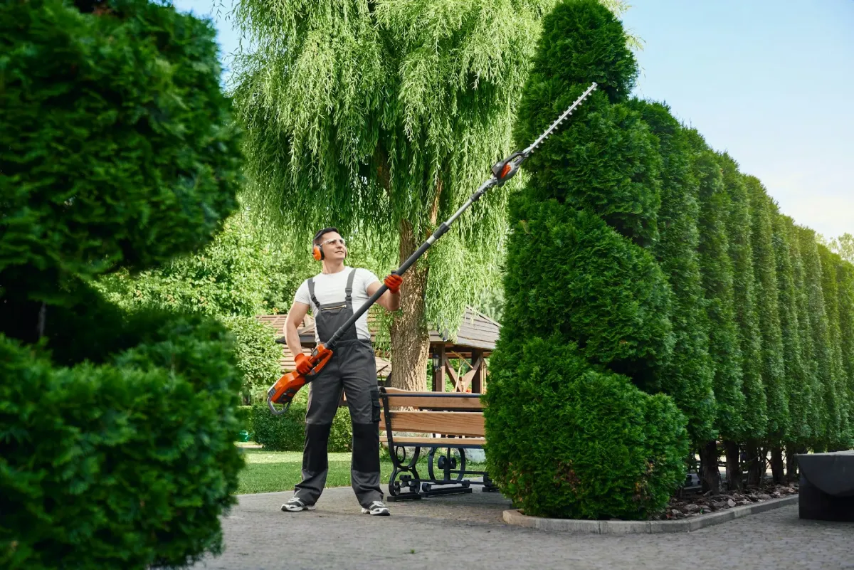 Landscape Design & Installation in Bucks County
