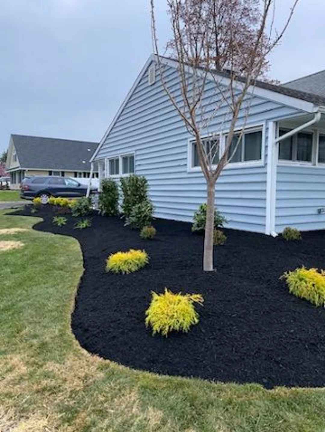 Paz Landscaping Gallery Images