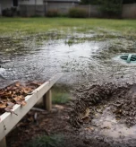 Spring Yard Drainage Problems? Here's What's Really Causing That Standing Water
